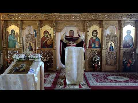 Pr. Nicolae Pavel - Cum sa ai pace intr-o lume agitata?