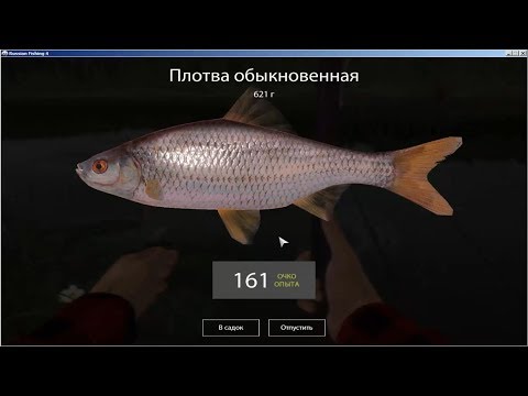 Русская Рыбалка 4 (Russian Fishing) Плотва на Комарином