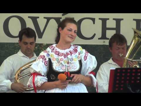 MUZIKANTI z JIŽNÍCH ČECH (CZ) -/- VLAŠTOVIČKY: