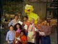 1052 Big Bird S Amateur Show