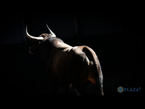SORTEO | Corrida de toros 2 julio