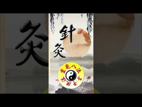 Chrono-Acupuncture Pro Video