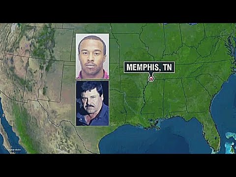 Narcos Season 4 South Memphis: Craig Petties