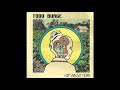 Son Shine by Todd Burge