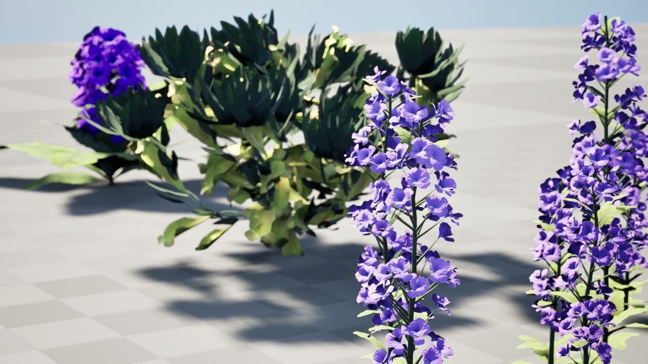 Pack Ajuga Arabica Arabe Modèle 3D