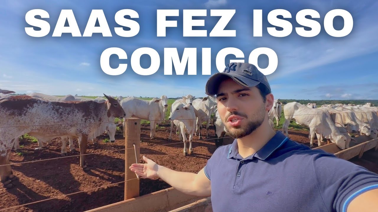 pov: fiquei Milionário com SaaS e virei pecuarista