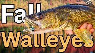 Fall Walleye Secrets (Fish Cold Fronts NOW!)
