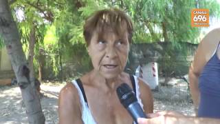 cani-abbandonati-il-business-dei-rom-non-lasciateli-a-loro