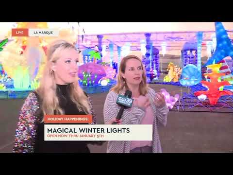 Magical Winter Lights Brightens Holidays