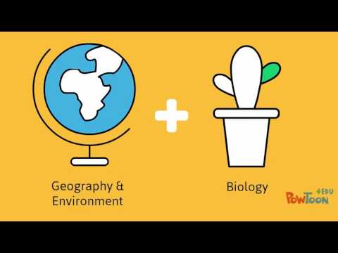 STAFF Open Prog Advisory Routes