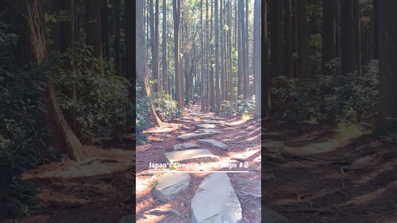 日本一の石段（3333段）②  - Japan's Longest Stone Steps (3333 steps) - 　 #日本一の石段 #熊本県 #美里町の観光名所