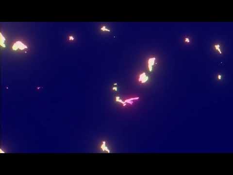 vj loop overlay loops club visuals background dance music dj visuals background party loops "205"