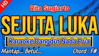 Download lagu SEJUTA LUKA | Karaoke Dangdut Nada Pria mp3