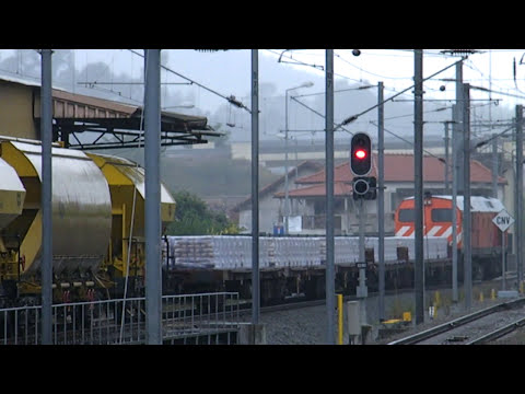 CP 1969 em Manobras - Nine