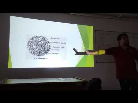 Physio 2 | P1 | Respiratory System