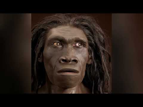 HOMO ERECTUS – Pierwszy człowiek drogi i ognia