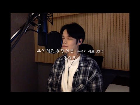 김영우 - 우연처럼 운명인듯