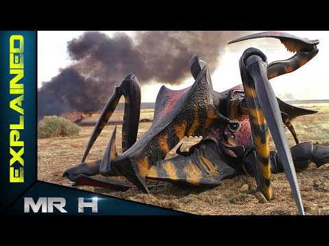 Warrior Bug Explained - Starship Troopers