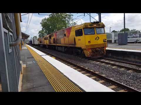 QR heritage Steam, Aurizon and QR trains at Lawnton 03/03/2018.