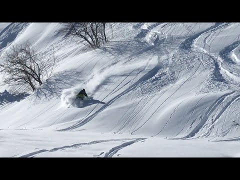 Powder day in Mottaret 22.2.2022