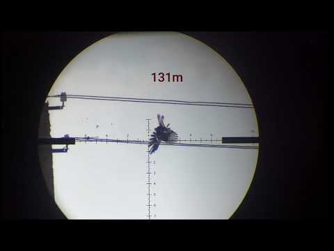 FX impact m3 25 cal 54gr slug.  Beloved Crows and Magpies