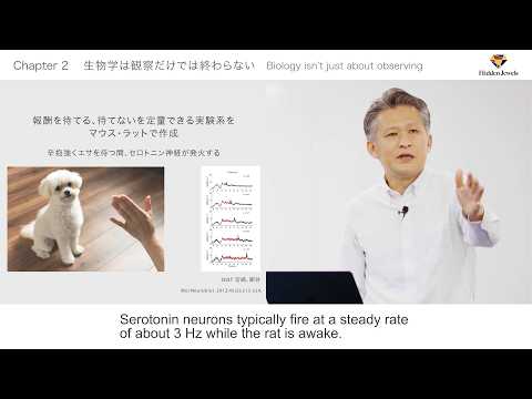 Why Study the Mouse Brain to Understand the Human Brain?   Prof. Kenji Tanaka (2024.2.6)