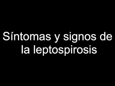 Qué es la leptospirosis