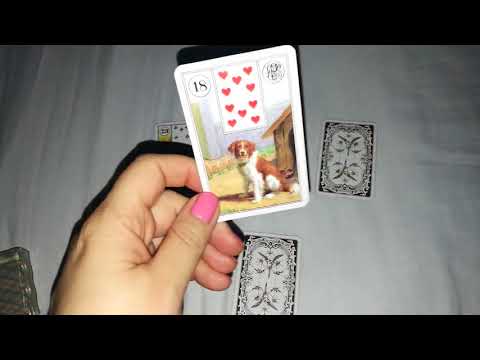 Da li ću imati još djece?