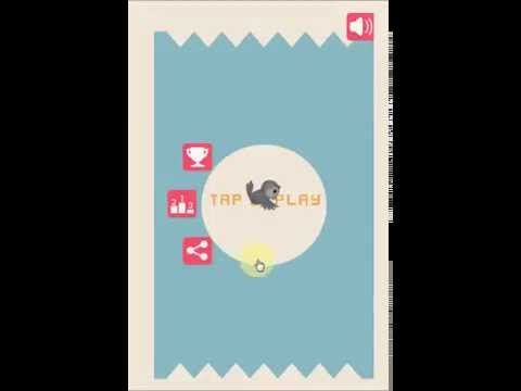 Caged Blackbird Zigzag Rebound Video