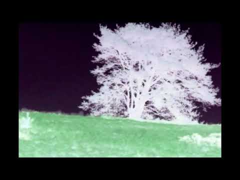 Five o'clockTraffic - RPC