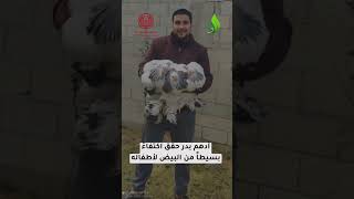 مبادرات زراعية تحت الحرب