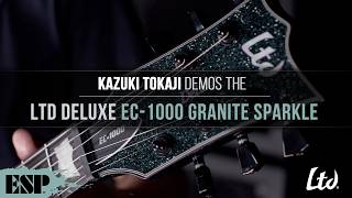 EC-1000 (Granite Sparkle), зображення 1
