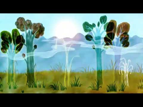 yung kai - my love my love my love (official visualizer)