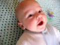 Harry Mose S First 258 Days Pt 2