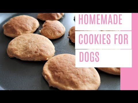 Homemade Cookies For Dogs | How To Make Homemade Dog Cookies | Very Easy And Simple Dog Cookies