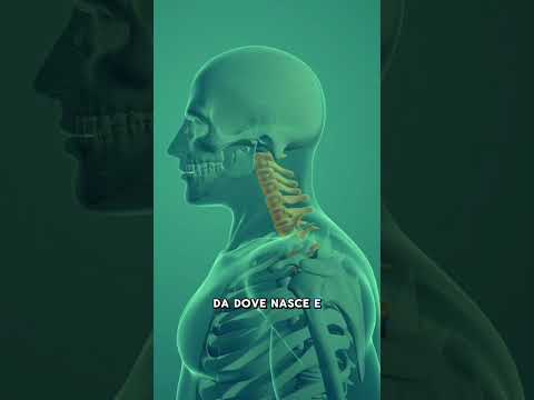 Enrico Giacomo Bardesono-26