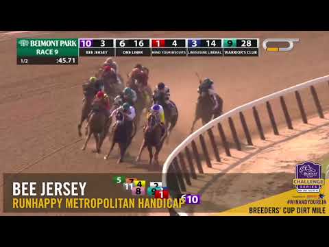 2018 Runhappy Metropolitan Handicap - Bee Jersey