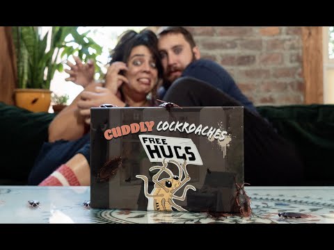 Cuddly Cockroaches