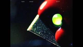 Lusine - Forks (Original mix)