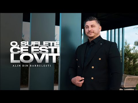 O SUFLETE CE EȘTI LOVIT – ALIN DIN BĂRBULEȘTI