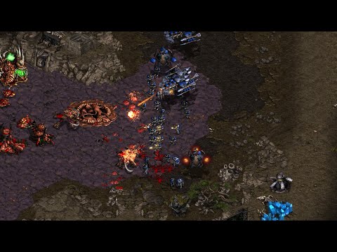 SSCAIT Report 257: Losers Bracket Round 1