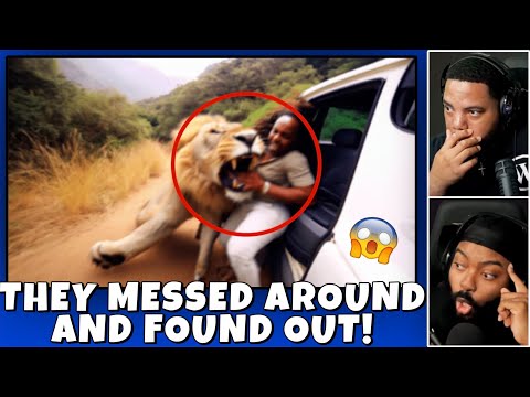 CLUTCH GONE ROGUE REACTS TO Damn Nature You Scary | Rare & Scary Animal Encounters #18