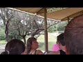 Kilimanjaro Safari At Animal Kingdom Disney World June 2022