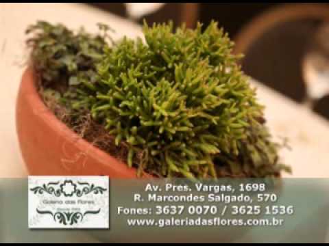 Programa Neusa Bighetti exibido no dia 14/04/2013 - Galeria das Flores