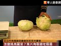 怎麼挑高麗菜？葉片有裂縫老摳摳