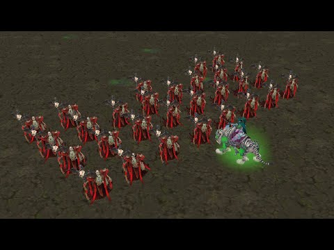 【小黄】29 Necromancer FullGrade vs 1 Tyrande Berserker A Bit Lv10MaxSkills Reforged