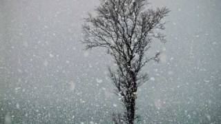 Hopes Die Last - Some Like It Cold Lyrics