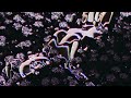 2 Seconds Jhené Aiko Slowed Overlapped