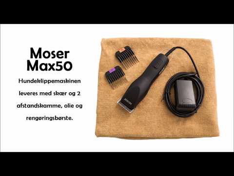 download lagu mp3 mp4 Moser Test, download lagu Moser Test gratis, unduh video klip Download Moser Test Mp3 dan Mp4 Popular Gratis