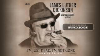 James Luther Dickinson Ft. North Mississippi Allstars "Hadacol Boogie" Official Audio